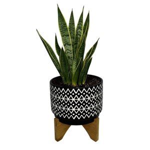 Black & White Bohemian Boho Ceramic Planter With Wooden Stand Plant Mom